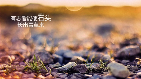夸赞女人最经典句子 赞美女人的话经典