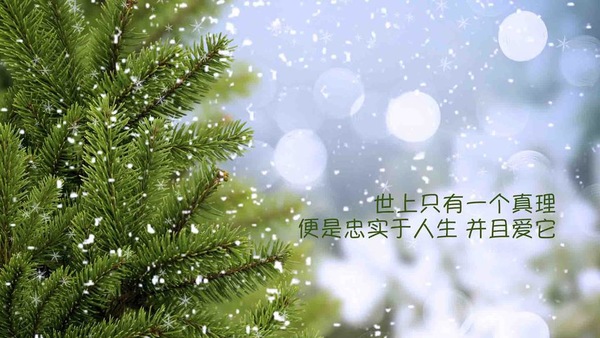 励志的句子经典语句 经典励志短句